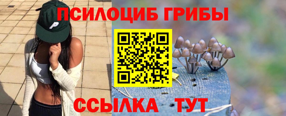 Янаул  Галлюциногенные грибы MAGIC MUSHROOMS  Вход с VPN 